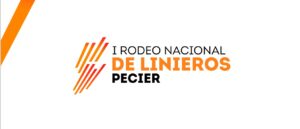 Lee más sobre el artículo I RODEO NACIONAL DE LINIEROS PECIER