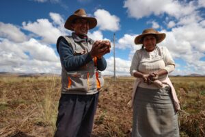 Lee más sobre el artículo MINEM concluyó la ejecución física de 5 proyectos de electrificación rural en el transcurso de 2024